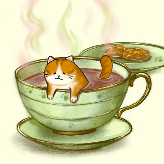 Hot Spring Cat