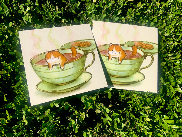 Hot Spring Cat