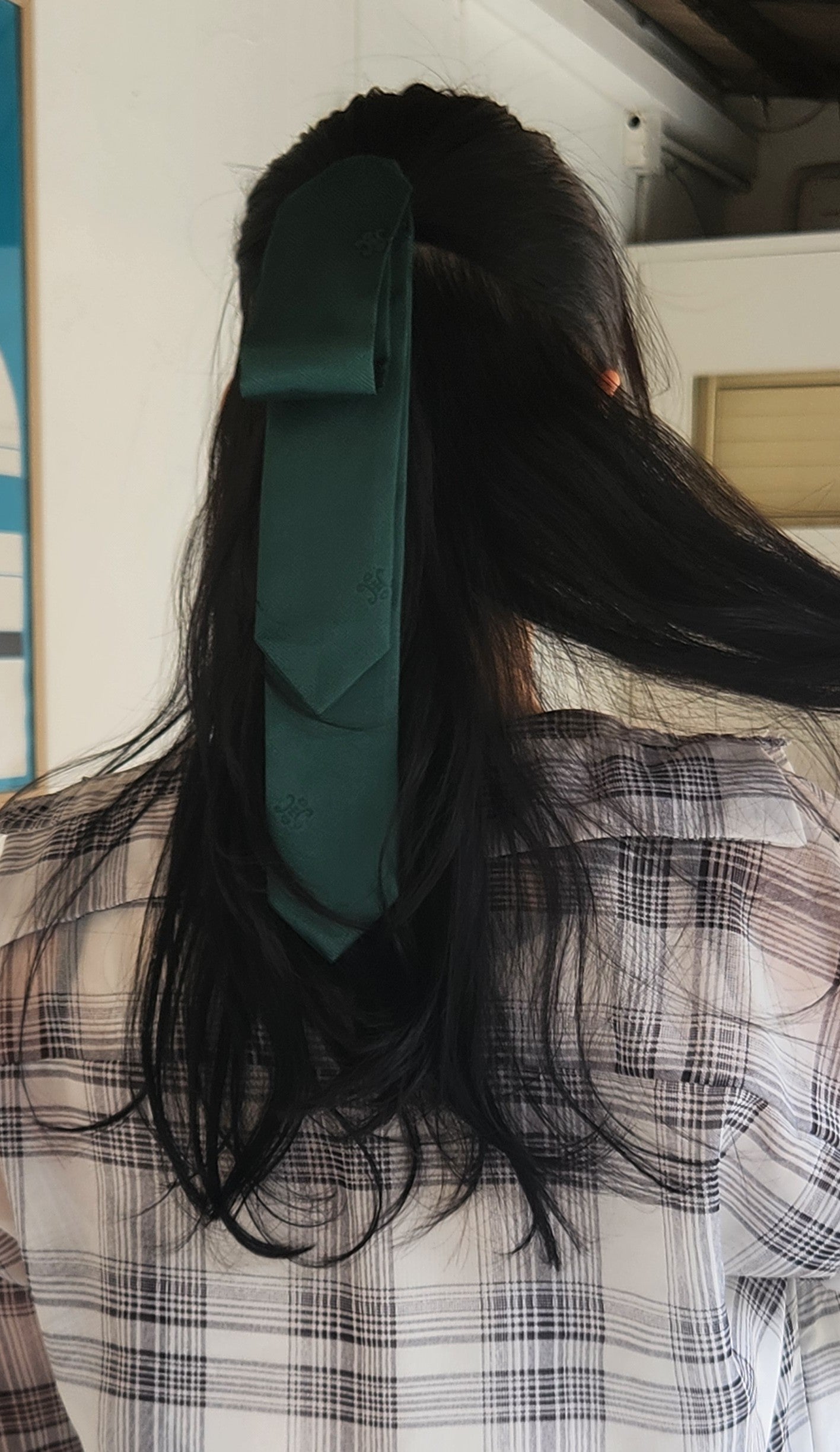 Jangjimun Yangdan Daenggi Hairtie
