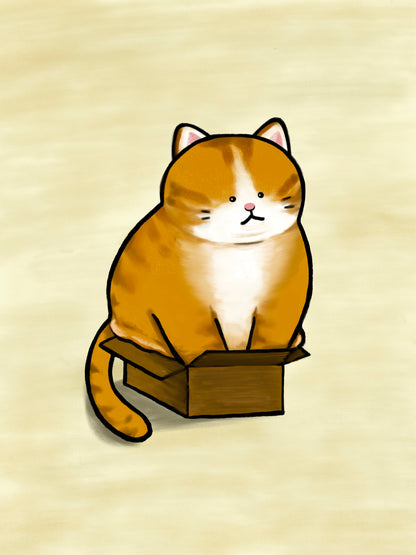 Box Cat